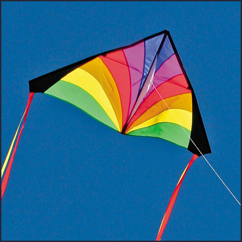 Kites for Kids: Delta Kite