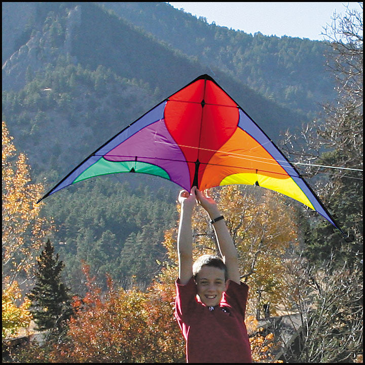 Firefly Stunt Kite