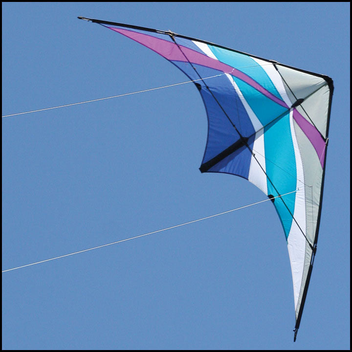 Kites for Kids: Puma Stunt Kite