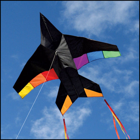 Kites for Kids - Jet Plane Kite